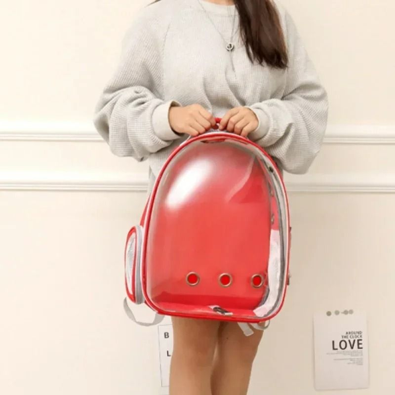 Space Capsule Transparent Breathable Pet Backpack 6