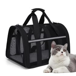 portable breathable summer pet carrier bag