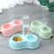Automatic 2in1 Dual Pet Feeding Hydration Station 3