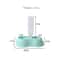 Automatic 2in1 Dual Pet Feeding Hydration Station 5