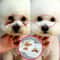 Soothing Pet Tear Stain And Ear Cleaning Wipes Station 3