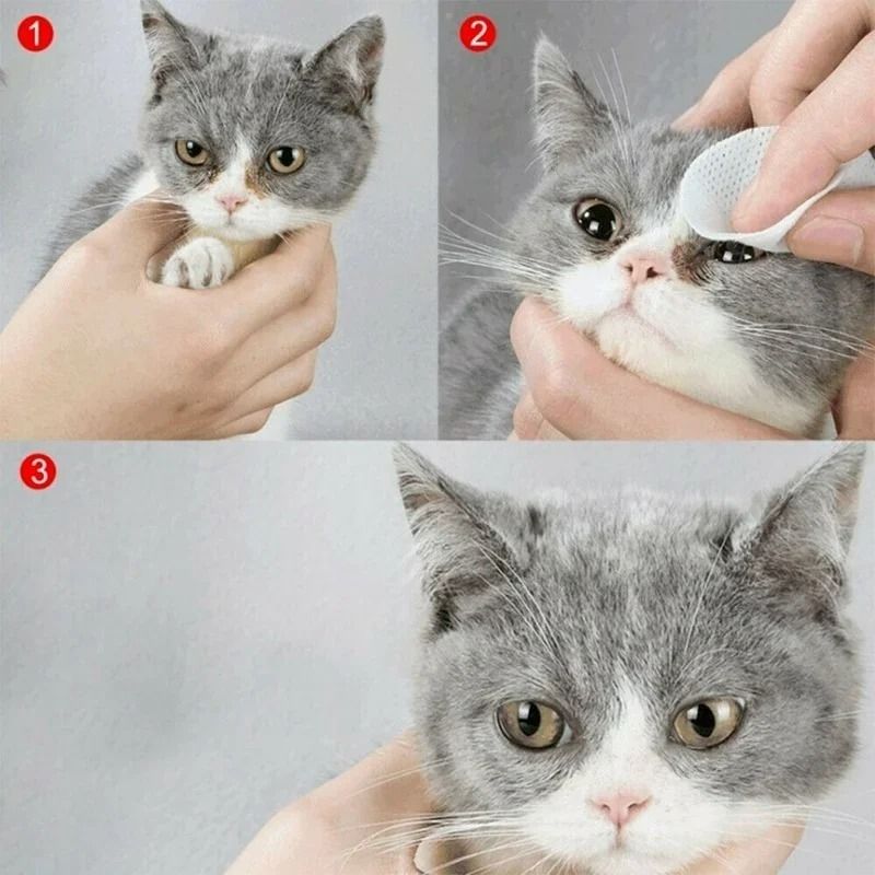 Soothing Pet Tear Stain And Ear Cleaning Wipes Station 4