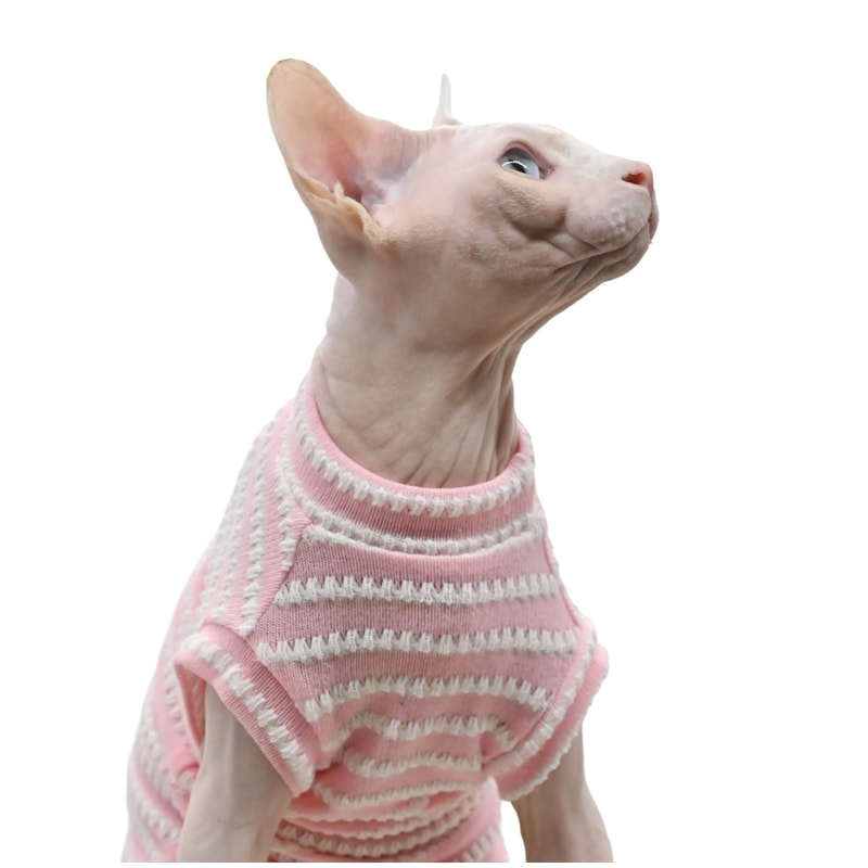Premium Breathable Cotton Sphynx Cat Clothes SkinFriendly Hairless Cat Vest 2