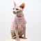 Premium Breathable Cotton Sphynx Cat Clothes SkinFriendly Hairless Cat Vest 4