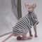 Premium Breathable Cotton Sphynx Cat Clothes SkinFriendly Hairless Cat Vest 5
