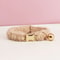 Personalized Teddy Cat Collar With Engraved Nameplate And Bow Tie 18