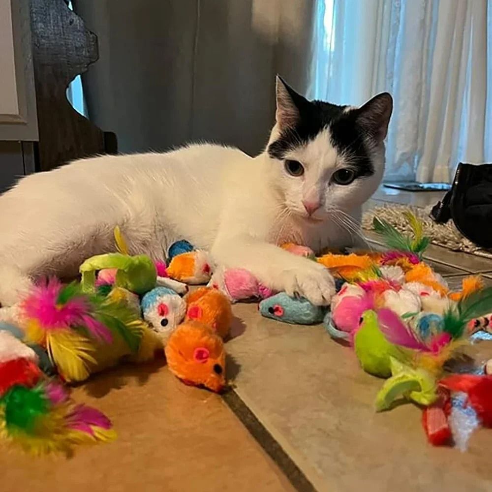 10Piece Rattle Cat Mouse Toys Prefilled With Catnip 6