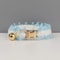 Personalized Lace Safety Pet Collar And Leash Set 10