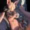 Winter Warm Sphynx Cat Jumpsuit 0