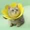 Sunflower Adjustable Elizabethan Recovery Collar 0