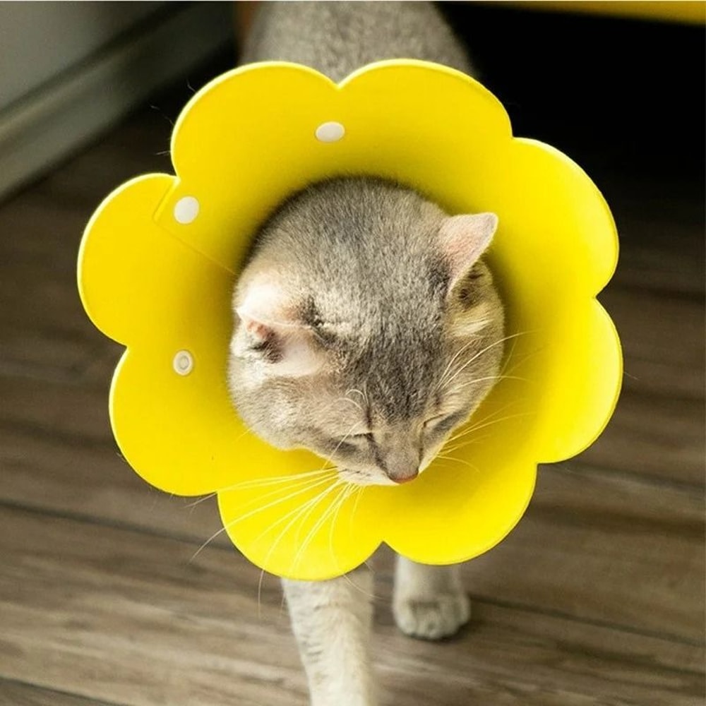 Sunflower Adjustable Elizabethan Recovery Collar 2