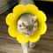 Sunflower Adjustable Elizabethan Recovery Collar 2