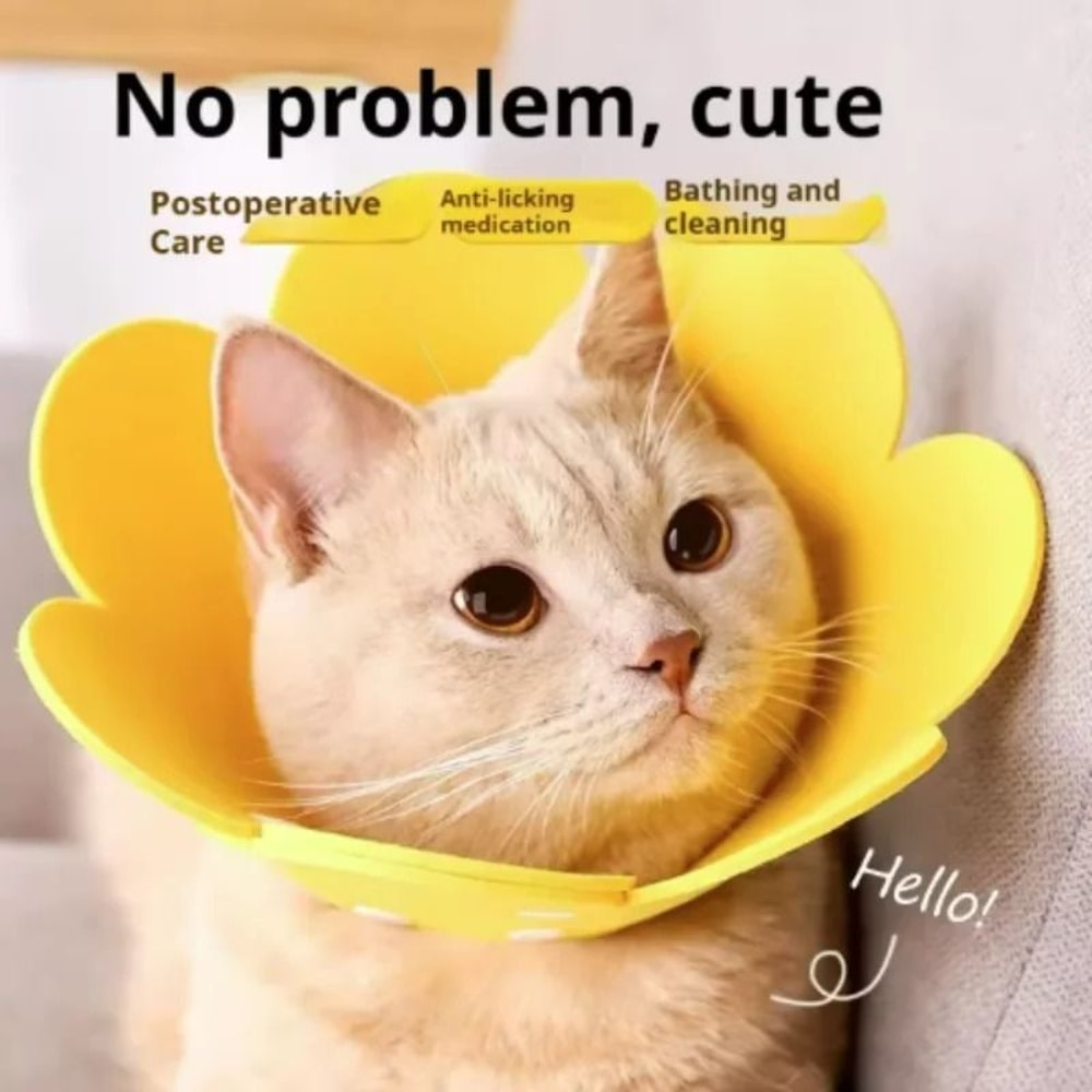 Sunflower Adjustable Elizabethan Recovery Collar 3
