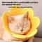 Sunflower Adjustable Elizabethan Recovery Collar 4