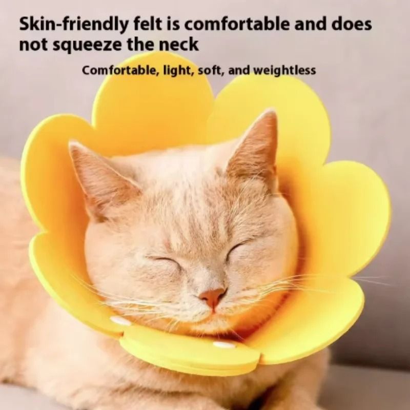 Sunflower Adjustable Elizabethan Recovery Collar 4