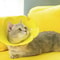 Sunflower Adjustable Elizabethan Recovery Collar 5