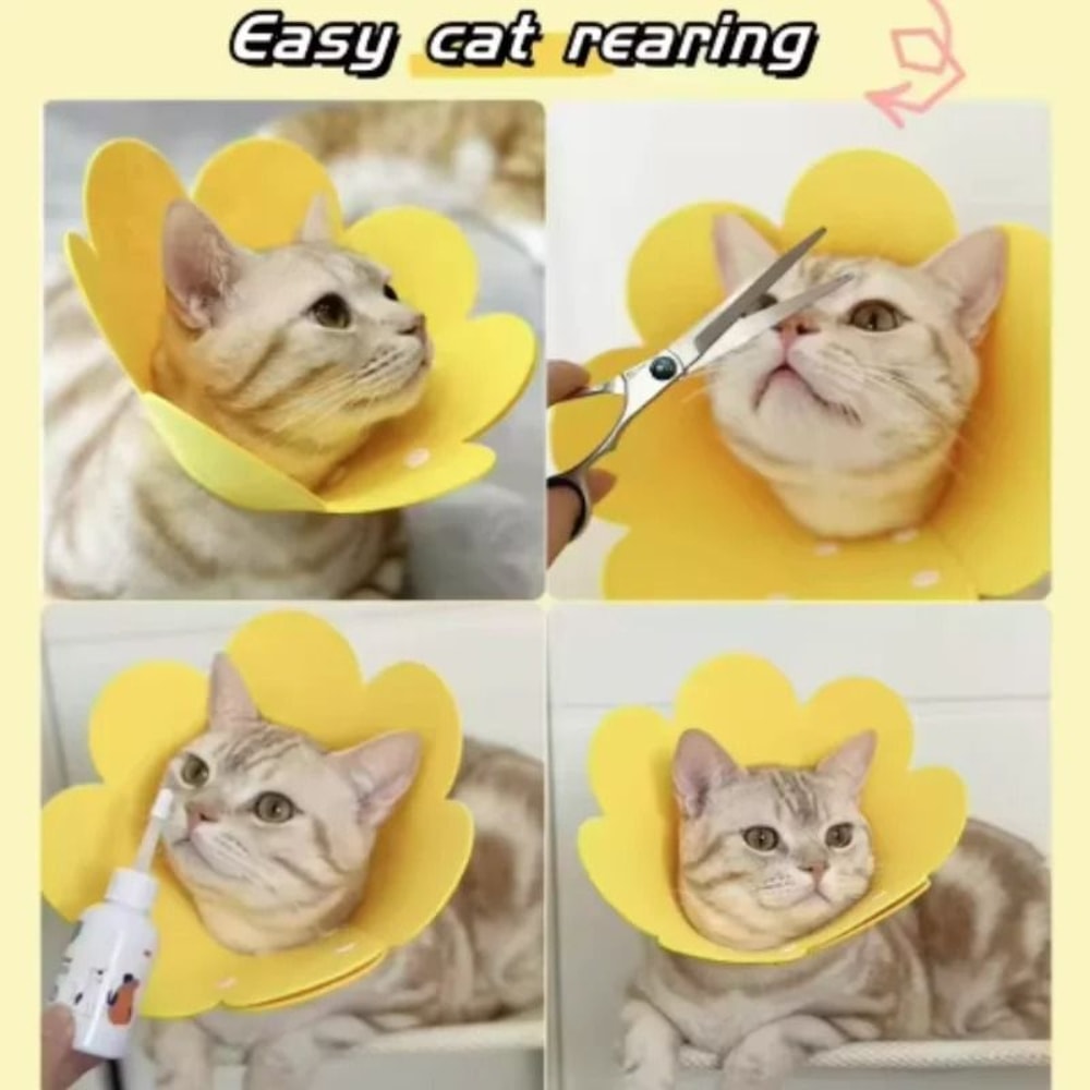 Sunflower Adjustable Elizabethan Recovery Collar 6