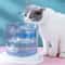 Clear View MotionSensor Faucet Pet Fountain 4