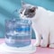 Clear View MotionSensor Faucet Pet Fountain 4