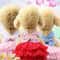 Striped Mesh Pet Princess Dress 2