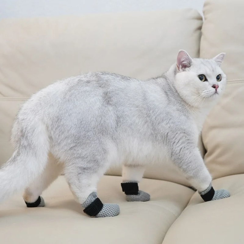 AntiScratch NoiseFree Pet Booties 1