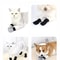 AntiScratch NoiseFree Pet Booties 3
