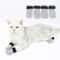AntiScratch NoiseFree Pet Booties 8