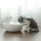 Ceramic Smart USB Pet Water Fountain 1