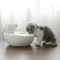 Ceramic Smart USB Pet Water Fountain 1