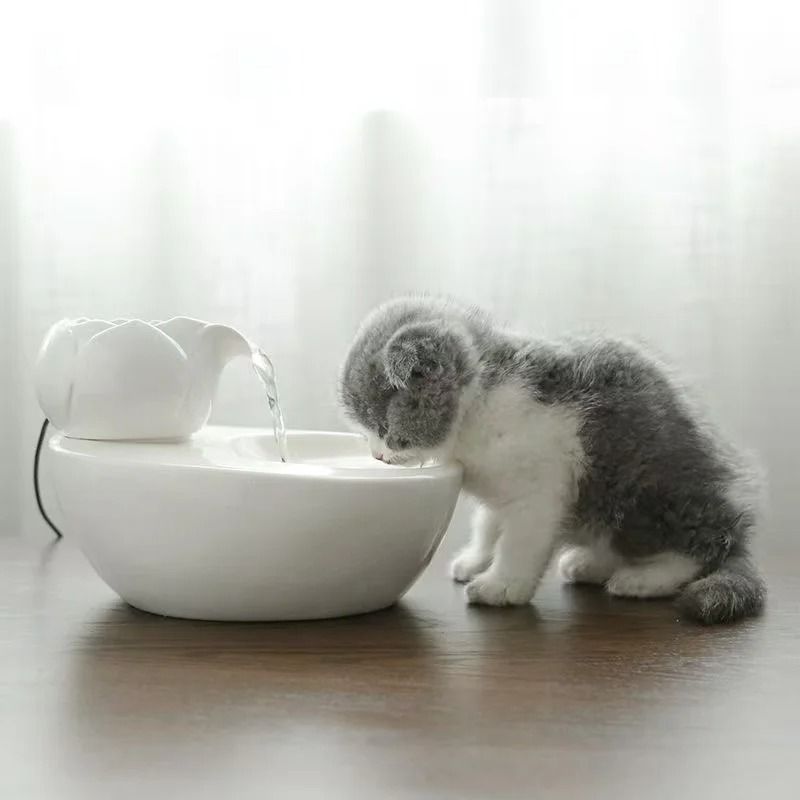 Ceramic Smart USB Pet Water Fountain 1