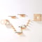 WallMounted Cat Climbing Jungle Ecosystem 0