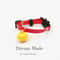 QuickRelease Breakaway Pet Safety Collar 1
