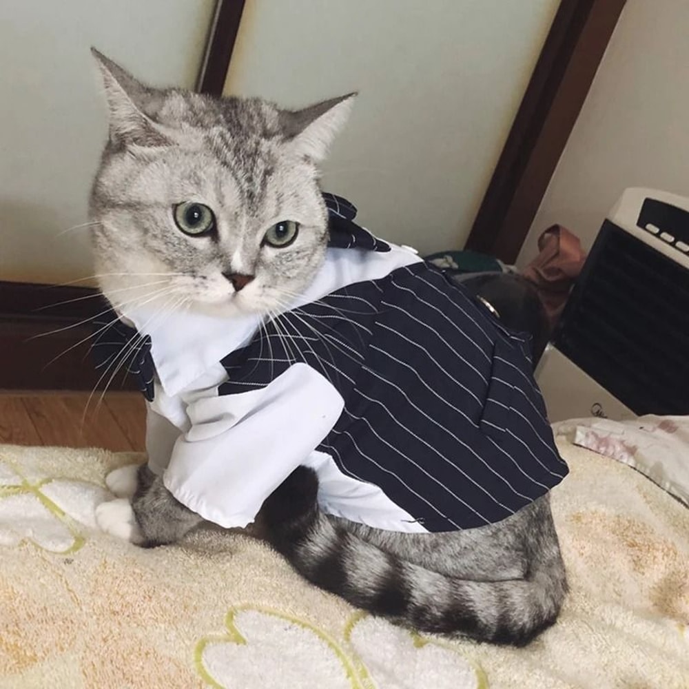 Dapper Formal Gentleman Pet Suit Jacket 3