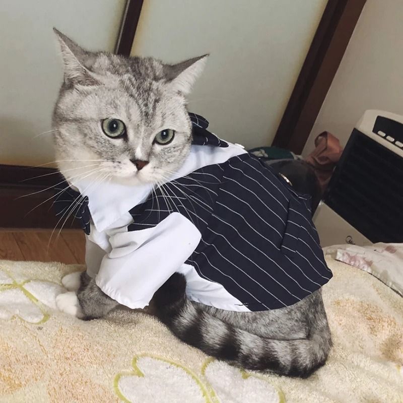Dapper Formal Gentleman Pet Suit Jacket 3