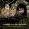 Waterproof Outdoor Cat House Pet Shelter 3