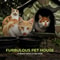 Waterproof Outdoor Cat House Pet Shelter 3