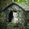Waterproof Outdoor Cat House Pet Shelter 11