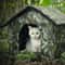Waterproof Outdoor Cat House Pet Shelter 7