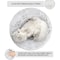Winter Heated Constant Temperature Pet Bed 3