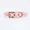 Elegant Rhinestone Pearl Pet Collar Necklace 2