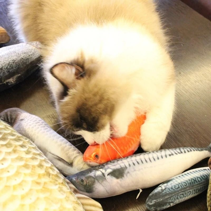 Plush Catnip Simulated Fish Throw Pillow Toy 1