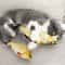 Plush Catnip Simulated Fish Throw Pillow Toy 2