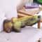 Plush Catnip Simulated Fish Throw Pillow Toy 9