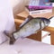 Plush Catnip Simulated Fish Throw Pillow Toy 7