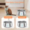 Stainless Steel Large Capacity Pet Water Fountain 3