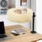 WallMounted Wooden Cat Space Capsule Bed 4