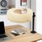 WallMounted Wooden Cat Space Capsule Bed 4