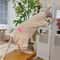 4Legged Warm Fleece Loungewear Jumpsuit For Cats 3