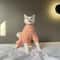 4Legged Warm Fleece Loungewear Jumpsuit For Cats 7