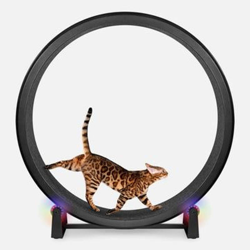 One Fast Cat Gen 7 Cat Exercise Wheel  48 Indoor Running Wheel With Jungle Leaves Foam Traction 5